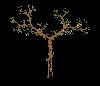 atree_3.jpg
