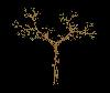 atree_4.jpg