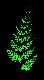 fern.jpg